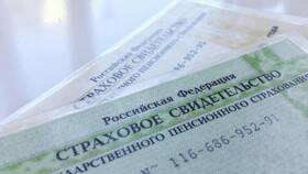 Что могут сделать мошенники с СНИЛС в Юлмарт