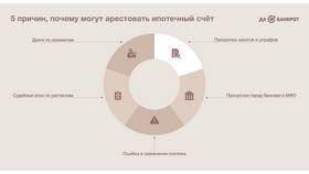 Где посмотреть за что дали арест ИП в Юлмарт