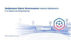 Как оформить Fan ID через Госуслуги в Юлмарт