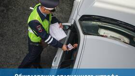Как оспорить протокол ГИБДД в Юлмарт