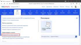 Как получить справку о судимости через Госуслуги в Юлмарт