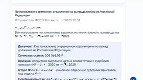 Как проверить запрет на выезд иностранного гражданина в Юлмарт