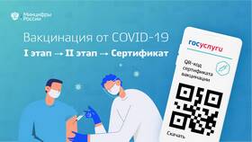 Как сканировать QR-код на Госуслугах в Юлмарт