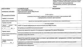 Как выглядит справка с Госуслуг в Юлмарт