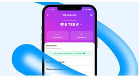 Как вывести деньги с WB кошелька в 2025 году в Юлмарт