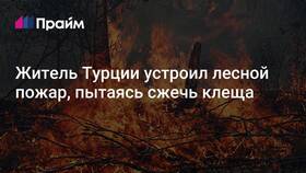Почему Ибрагим не сжег письмо в Юлмарт