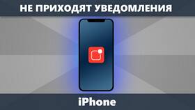 Почему не приходят уведомления WhatsApp в Юлмарт