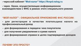 Причины задержки выплат на детей в Юлмарт